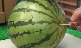 潍坊吃瓜最新爆料视频曝光,最新爆料视频曝光惊人内幕